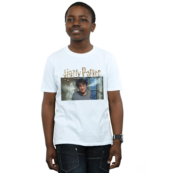 Harry Potter Pojkar Steam Ears T-Shirt 7-8 År Vit White 7-8 Years