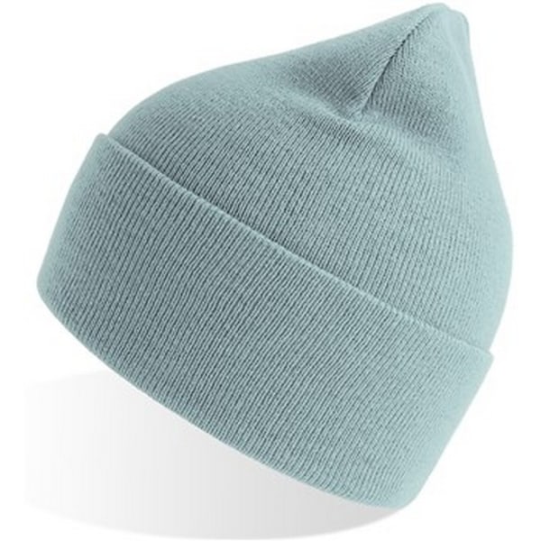 Atlantis Unisex Vuxen Ren Beanie i 100 % Återvunnet Material, En Storlek, Ljusblå Light Blue One Size