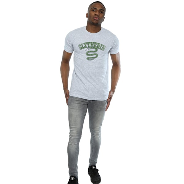 Harry Potter Herr Slytherin Sport Emblem T-shirt S Sports Grey Sports Grey S