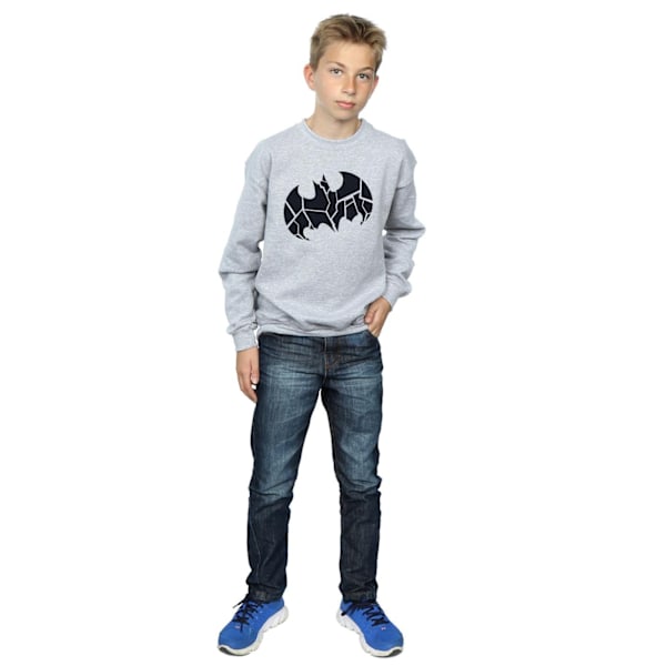 DC Comics Boys Batman One Colour Shield Sweatshirt 7-8 år Sp Sports Grey 7-8 Years