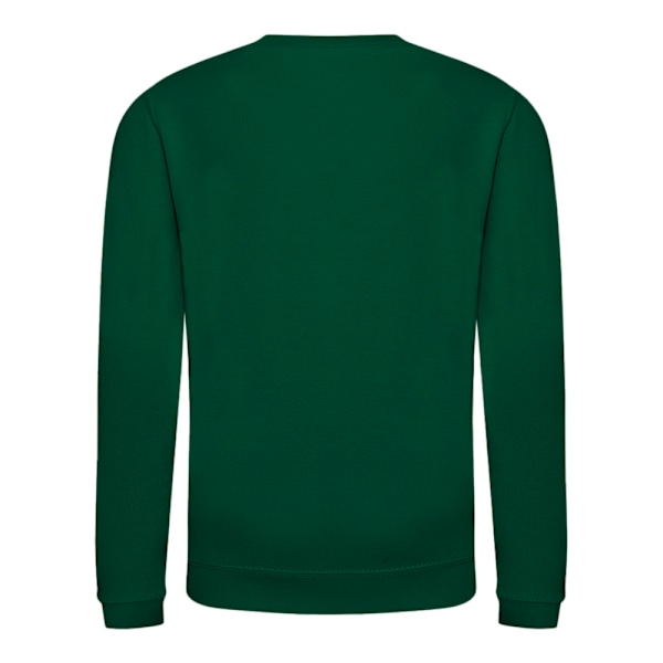 AWDis Just Hoods Barn/Barn Plain Crew Neck Sweatshirt 12-1 Bottle Green 12-13 Years