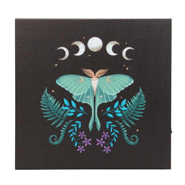 Something Different Canvas Luna Moth Ljus Upp Canvas En Storlek B Black/Blue/White One Size