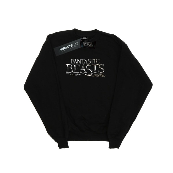 Fantastic Beasts Boys Text Logo Sweatshirt 9-11 Years Black Black 9-11 Years