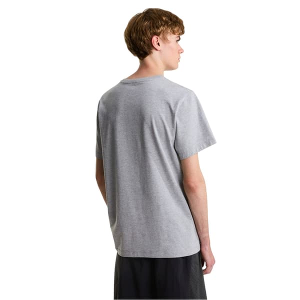 The North Face Herr Simple Dome Regular T-shirt L Ljusgrå Pale Grey L