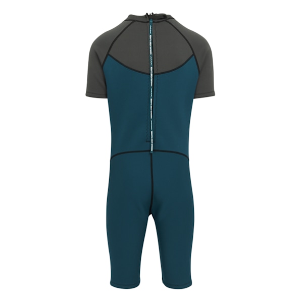 Regatta Mens Shorty Wetsuit M-L Grå/Marockanskt Blå Grey/Moroccan Blue M-L