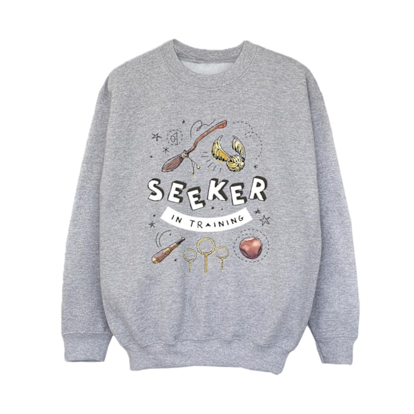 Harry Potter Boys Seeker In Training Sweatshirt 7-8 år Sport Sports Grey 7-8 Years