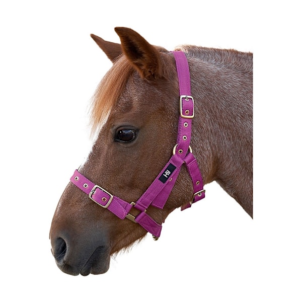 Hy Holly Fullt Justerbart Huvudlag Pony Rosa Pink Pony