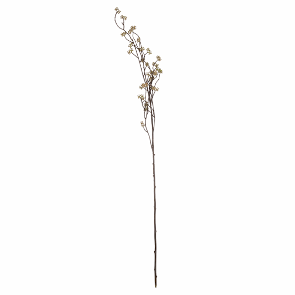 Hill Interiors Branch In Bloom Filler One Size Grön Green One Size