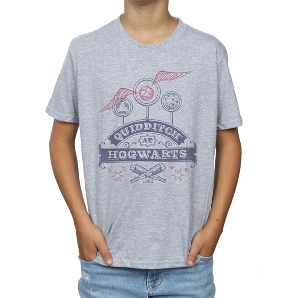 Harry Potter Quidditch på Hogwarts T-shirt för pojkar 9-11 år Spor Sports Grey 9-11 Years