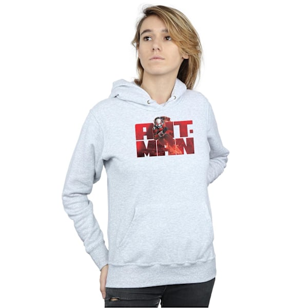 Marvel Dam/Kvinnor Ant-Man Löparhoodie XXL Heather Grey Heather Grey XXL