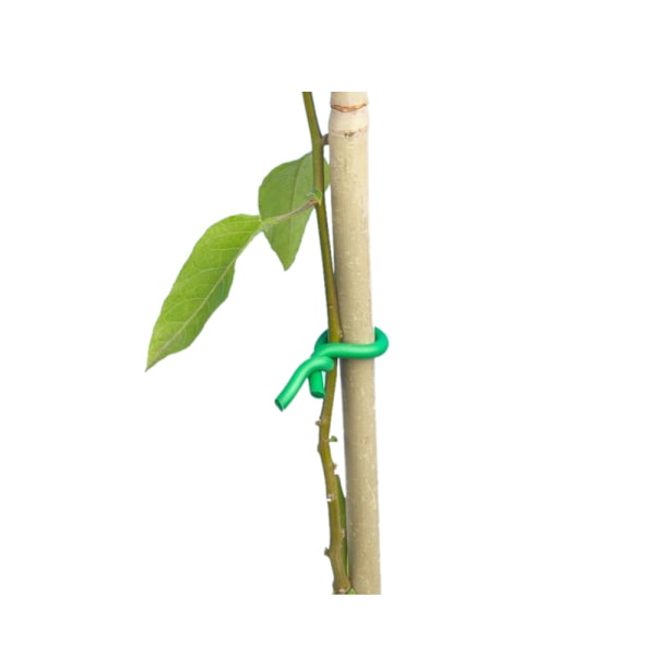 Ambassador Twist Tie One Size Green Green One Size