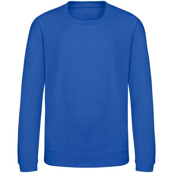 AWDis Just Hoods Barn/Barn Ungdom Enfärgad Sweatshirt med Rund Hals 3-4 Bright Royal 3-4 Years