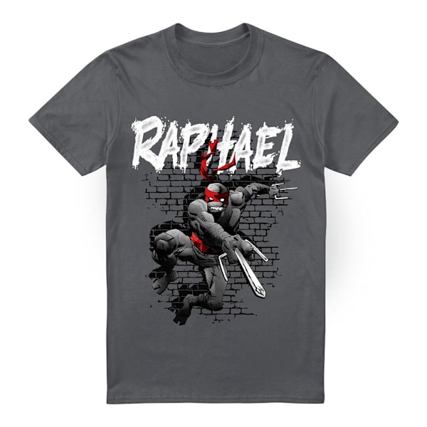 Teenage Mutant Ninja Turtles Herr Raphael T-shirt M Kolgrå Charcoal M