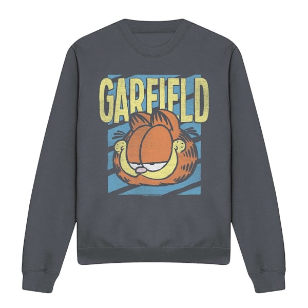 Garfield Unisex Vuxen Rad Sweatshirt XL Kolgrå Charcoal XL