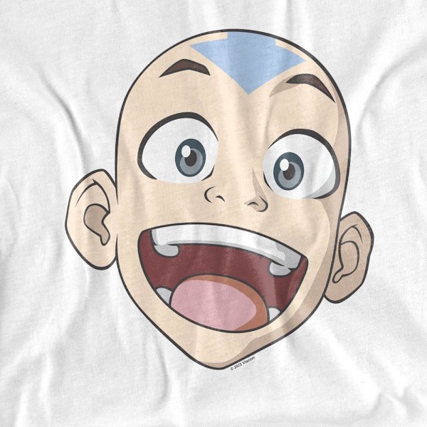 Avatar: The Last Airbender Herr Aang Stort Ansikte T-Shirt 4XL Vit White 4XL
