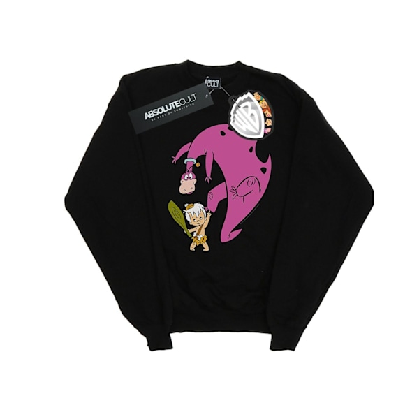 The Flintstones Boys Bamm Bamm And Dino Sweatshirt 3-4 År Bl Black 3-4 Years