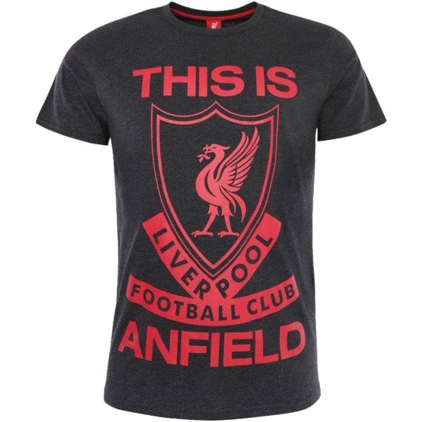 Liverpool FC Herr This Is Anfield T-Shirt S Charcoal/Red Charcoal/Red S