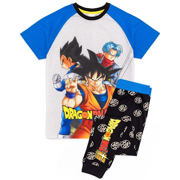 Dragon Ball Z Pojkes Goku Pyjamas Set 15-16 År Grå/Blå Grey/Blue 15-16 Years