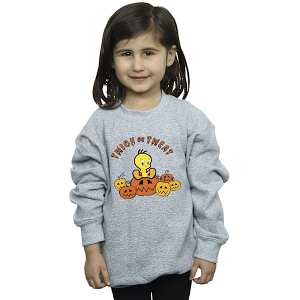 Looney Tunes Flickan Twick Eller Tweat Sweatshirt 7-8 År Sport Grå Sports Grey 7-8 Years