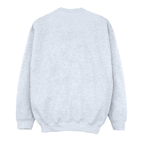 Disney Dam/Damer Winnie The Pooh Piglet Sweatshirt M Sports Sports Grey M