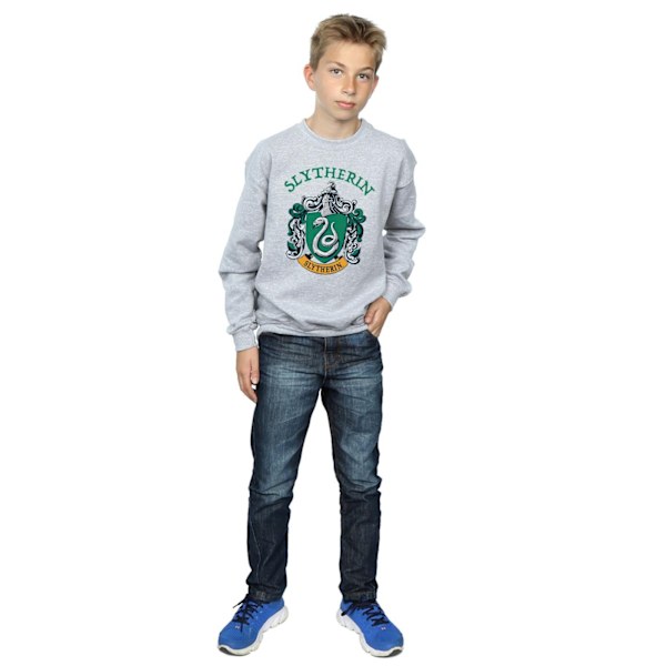 Harry Potter Pojkar Slytherin Crest Sweatshirt 5-6 År Sport Grå Sports Grey 5-6 Years