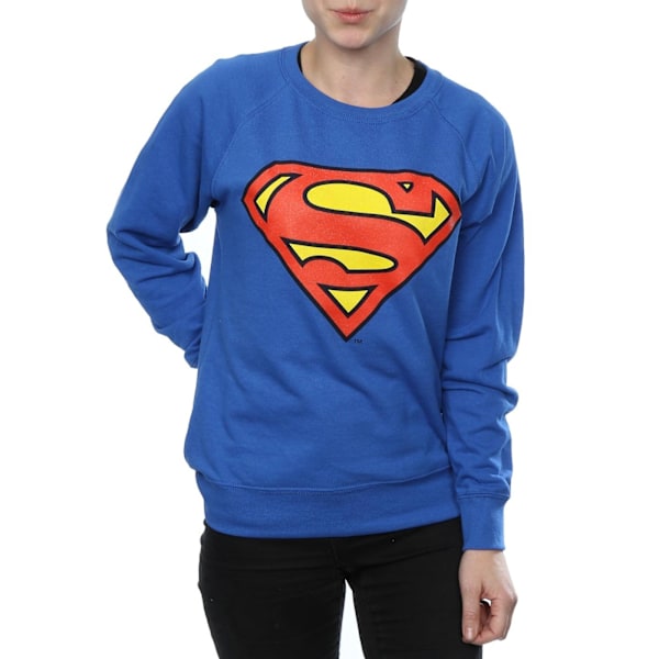 DC Comics Dam/Kvinnor Superman Logo Boyfriend Fit Sweatshirt Royal Blue XS