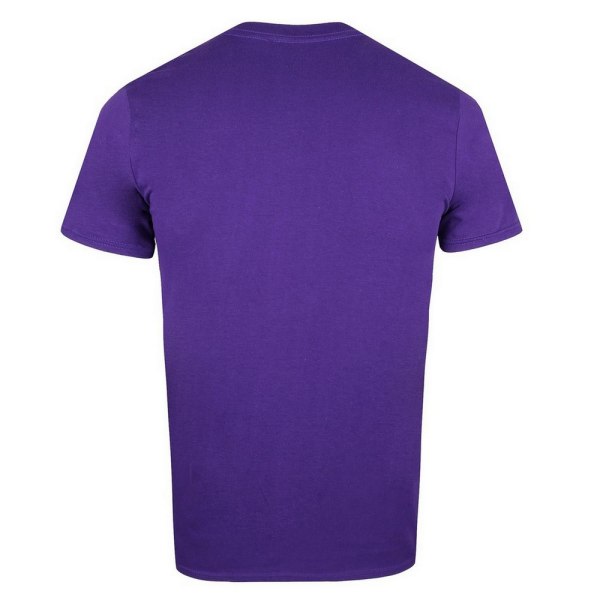Superman Mens Sunset T-Shirt XXL lila/röd Purple/Red XXL