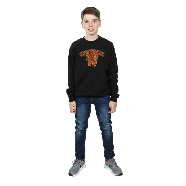 Harry Potter Pojkar Gryffindor Sport Emblem Sweatshirt 12-13 År Black 12-13 Years