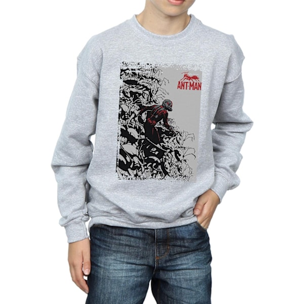 Marvel Boys Ant-Man Army Sweatshirt 12-13 år Sports Grey Sports Grey 12-13 Years