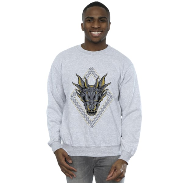 Game Of Thrones: House Of The Dragon Herr Dragon Mönster Sweatshirt Sports Grey XXL