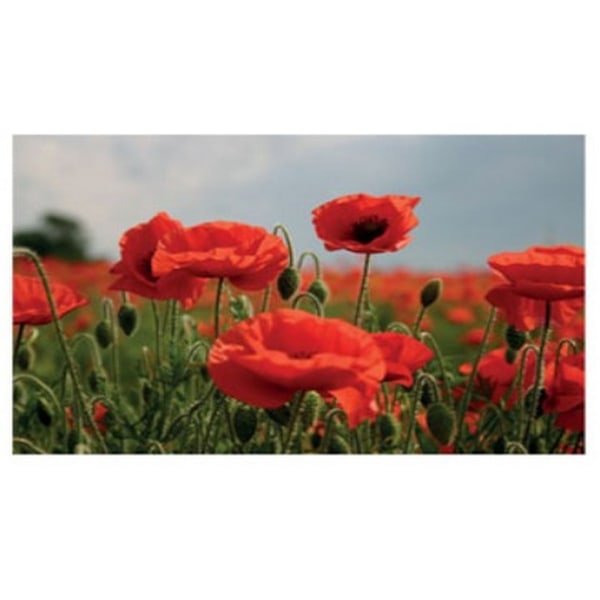 Kevin Milner Poppy Flower Countryside Gratulationskort En Storlek R Red/Green One Size