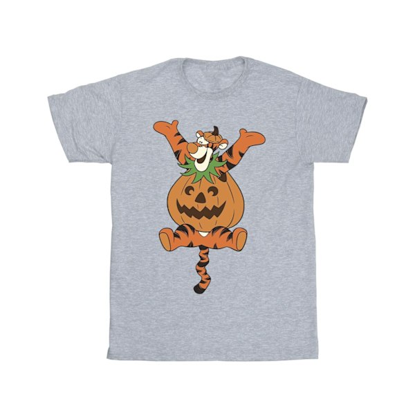 Winnie the Pooh Herr Tigger Pumpa T-shirt XL Sportgrå Sports Grey XL