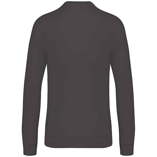 Native Spirit Unisex Raglantröja för vuxna XS Iron Grey Iron Grey XS