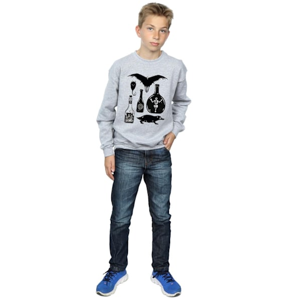 Fantastiska vidunder Pojkar Enkla ikoner Sweatshirt 7-8 år Sport G Sports Grey 7-8 Years