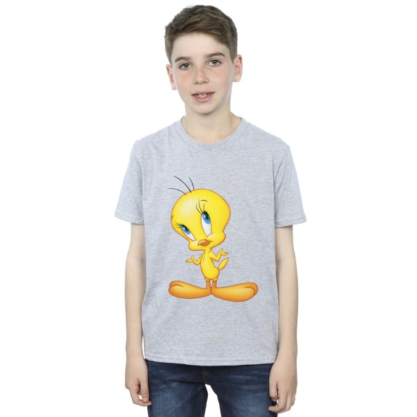 Looney Tunes Boys Tweety Standing T-Shirt 5-6 år Sports Grey Sports Grey 5-6 Years