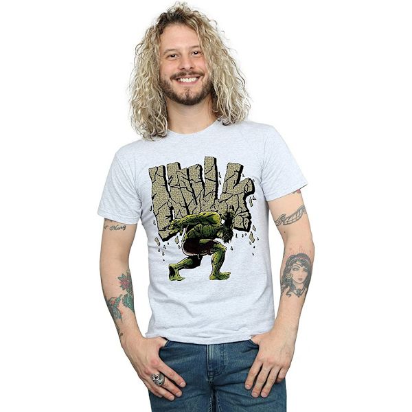 Hulk Herr Rock T-Shirt M Sports Grey Sports Grey M