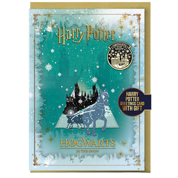 Harry Potter Hogwarts Vinter Julkort One Size Multicoloured One Size
