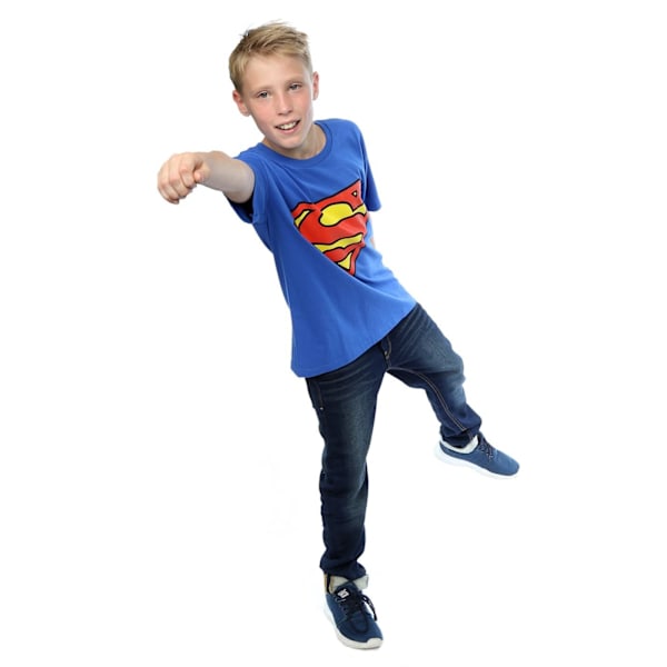 DC Comics Pojkars Superman Logotyp T-shirt 12-13 År Royal Blå Royal Blue 12-13 Years