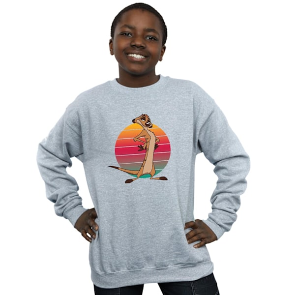 Disney Boys The Lion King Timon Sunset Sweatshirt 9-11 år Sp Sports Grey 9-11 Years