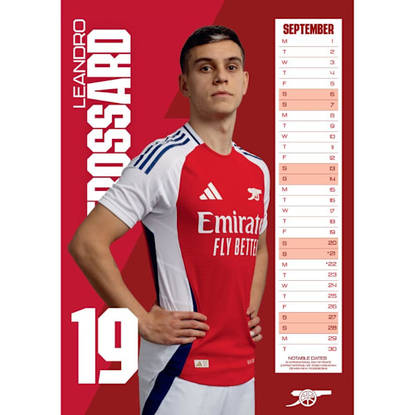 Arsenal FC 2025 A3 Väggkalender One Size Flerfärgad Multicoloured One Size