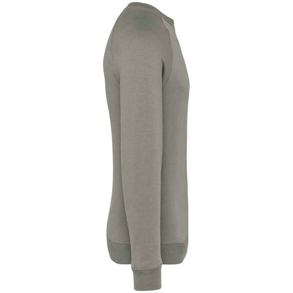 Native Spirit Unisex Raglantröja för vuxna M Mandelgrön Almond Green M