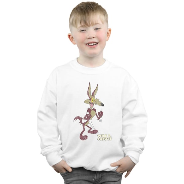 Looney Tunes Boys Wile E Coyote Distressed Sweatshirt 9-11 År White 9-11 Years