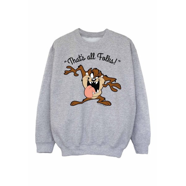 Looney Tunes Boys That's All Folks Tasmanian Devil Sweatshirt 1 Sports Grey 12-13 Years