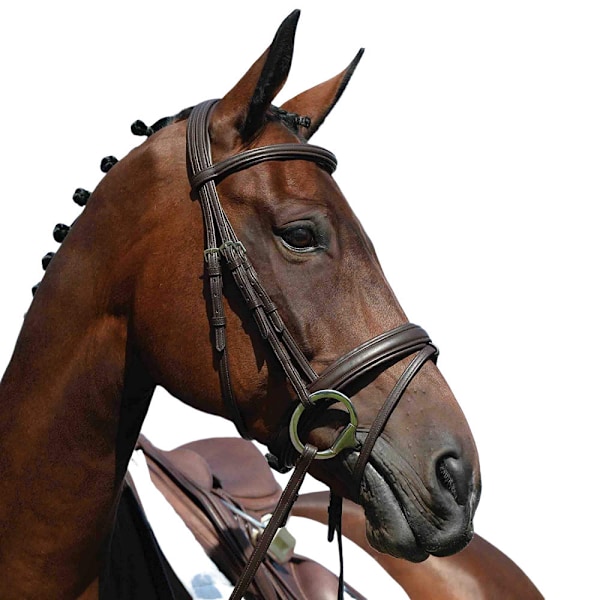 Collegiate Syntovia+ Vadderad Höjd Flash Bridle Pony Svart Black Pony