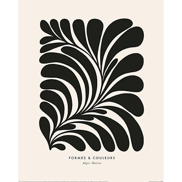 Dominique Vari Algue Marine Print 40cm x 30cm Svart/Persika Black/Peach 40cm x 30cm