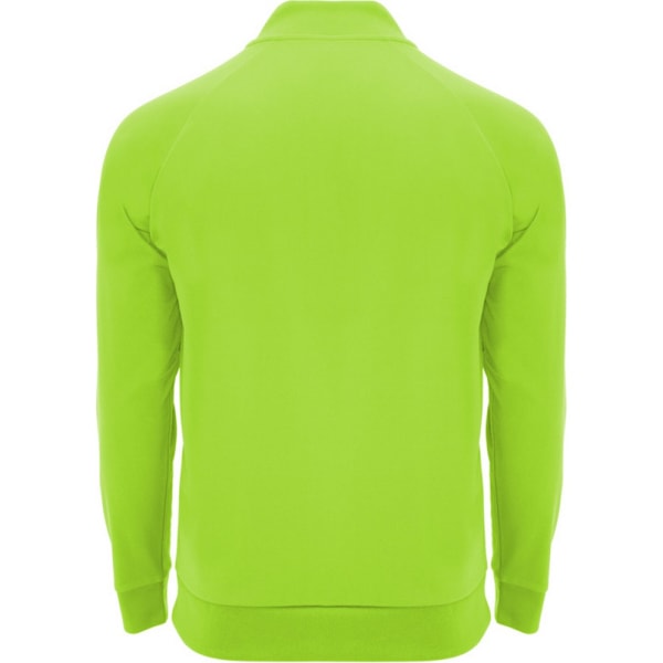 Roly Unisex Vuxen Epiro Kvart Zip Långärmad Tröja XL Fluro Green XL