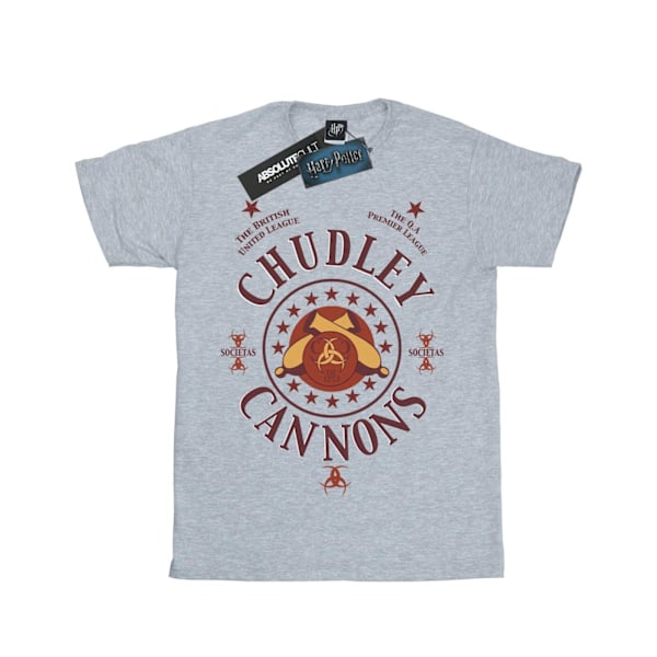 Harry Potter Boys Chudley Cannons Logo T-Shirt 5-6 år Sport Sports Grey 5-6 Years