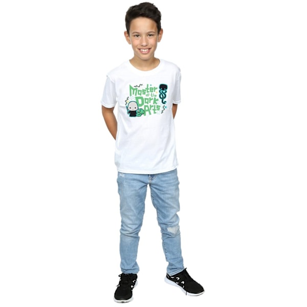 Harry Potter Boys Voldemort Dark Arts Junior T-Shirt 3-4 år White 3-4 Years