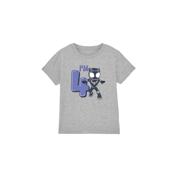 Black Panther Barn/Barn Söt 4-årsdag T-shirt 3-4 år Sport Heather 3-4 Years