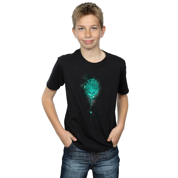 Harry Potter Boys Hogwarts Crest Mist T-Shirt 9-11 år Svart Black 9-11 Years